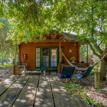 Villa Amikam Meshek 81 משק 81 עמיקם Esterno foto