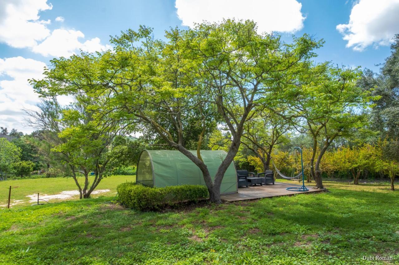 Villa Amikam Meshek 81 משק 81 עמיקם Esterno foto
