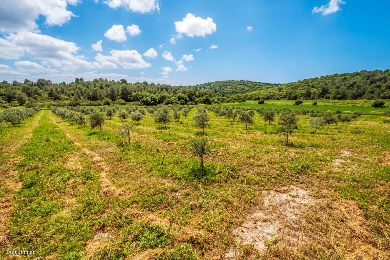 Villa Amikam Meshek 81 משק 81 עמיקם Esterno foto