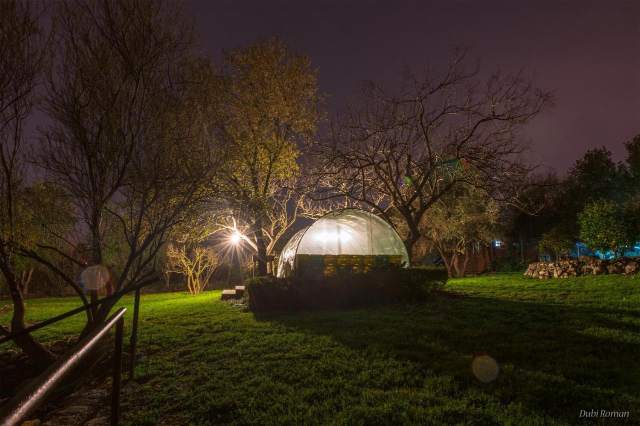 Villa Amikam Meshek 81 משק 81 עמיקם Esterno foto