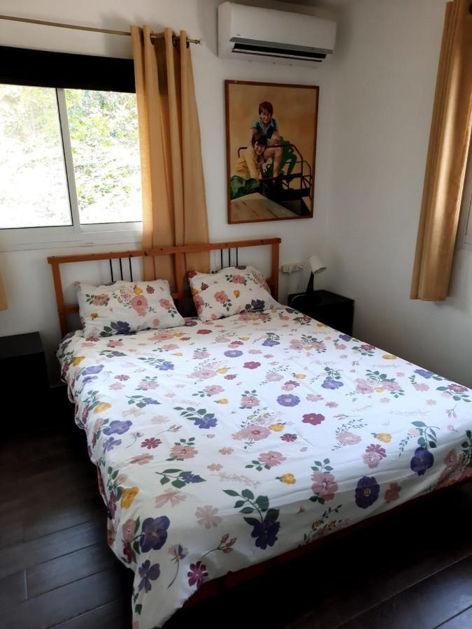 Villa Amikam Meshek 81 משק 81 עמיקם Esterno foto