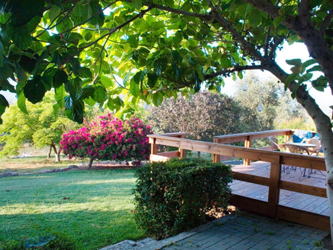 Villa Amikam Meshek 81 משק 81 עמיקם Esterno foto