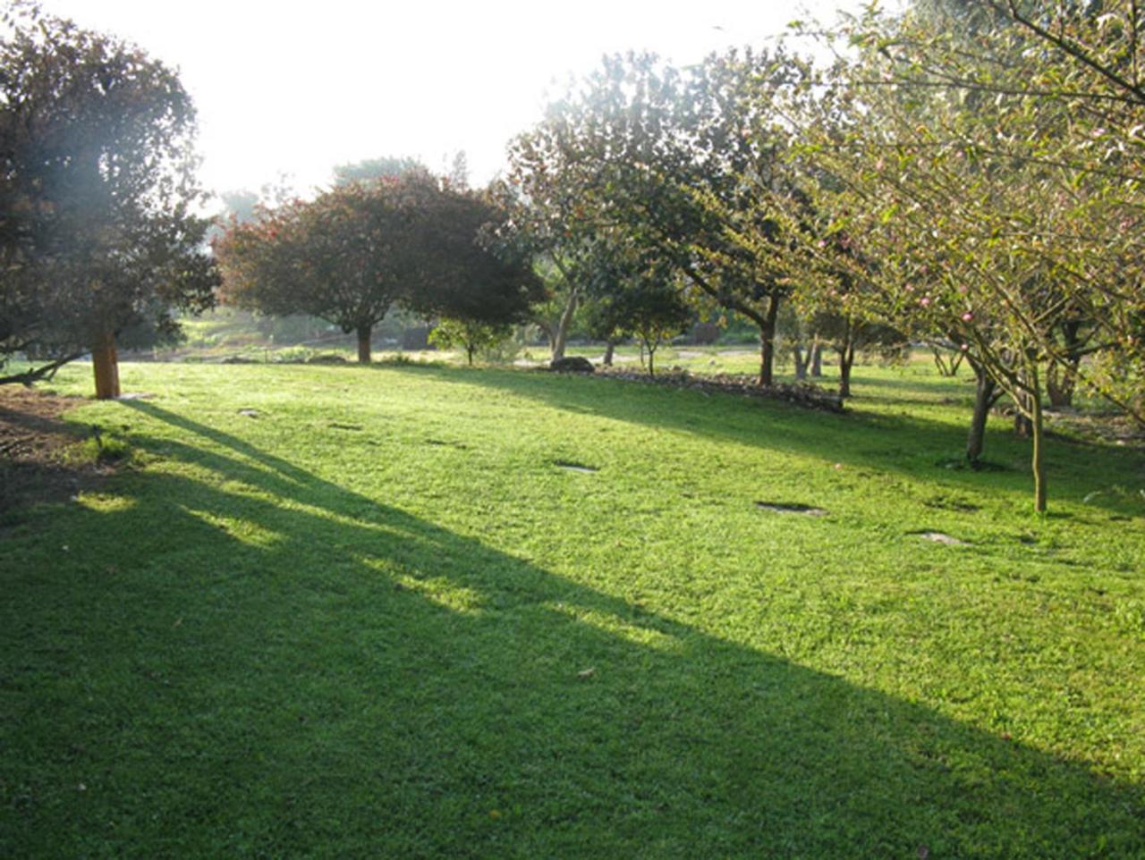 Villa Amikam Meshek 81 משק 81 עמיקם Esterno foto